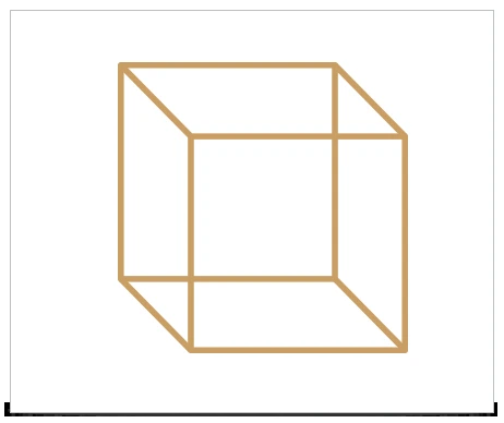 Cube de Necker utilisé pour observer l’alternance de la perception visuelle